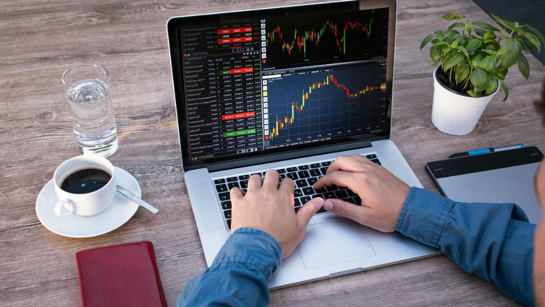 WEB SITE DEVELOPMENT